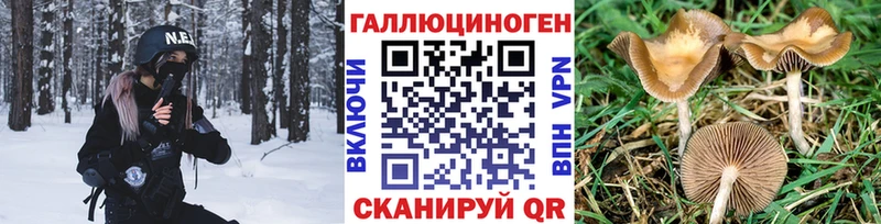 Псилоцибиновые грибы ЛСД Суворов